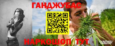 apvp Канаш