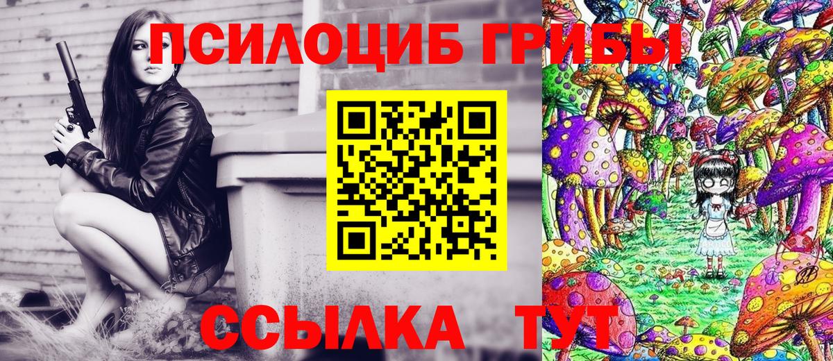 Псилоцибиновые грибы Psilocybine cubensis Балашов