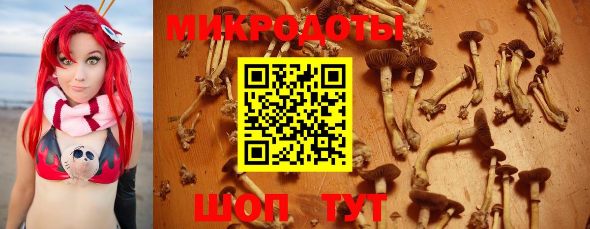 Псилоцибиновые грибы Magic Shrooms  Вход с VPN  Галлюциногенные грибы Psilocybe  Балашов 